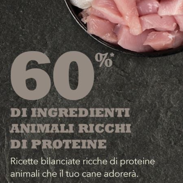 acana adult small breed recipe immagine5