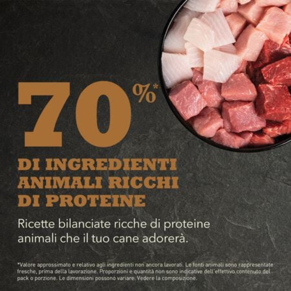 acana ranchlands grain free immagine5