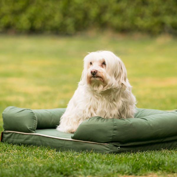 cuscino revenant limitless in memory foam croci immagine2