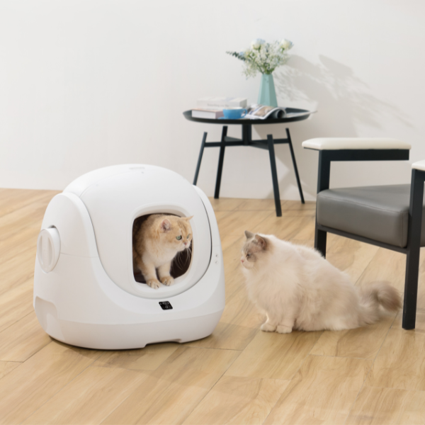 lettiera autopulente per gatti scooper baymax se catlink immagine5