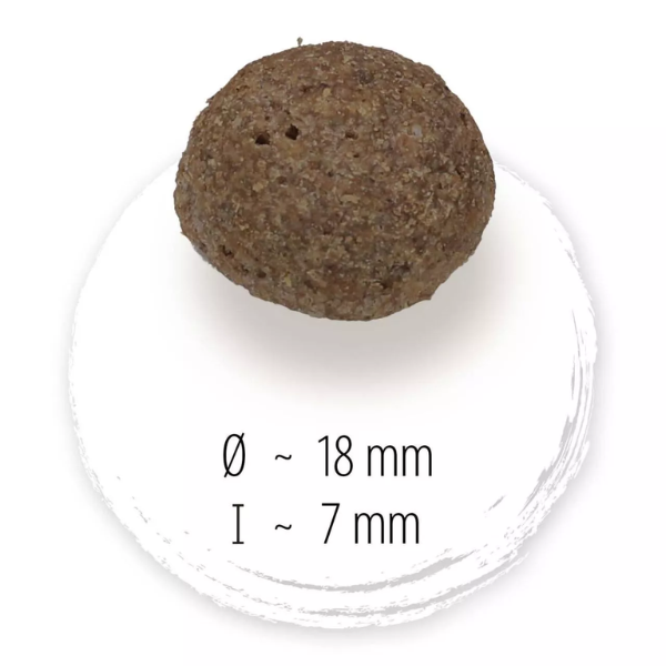 happy dog naturcroq adult all breeds salmone e riso immagine4