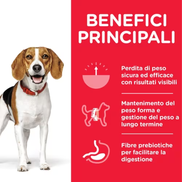 hill's science plan perfect weight medium adult alimento per cani con pollo immagine5