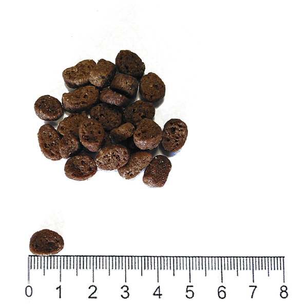 prolife lifestyle gatto adult salmone e riso immagine3