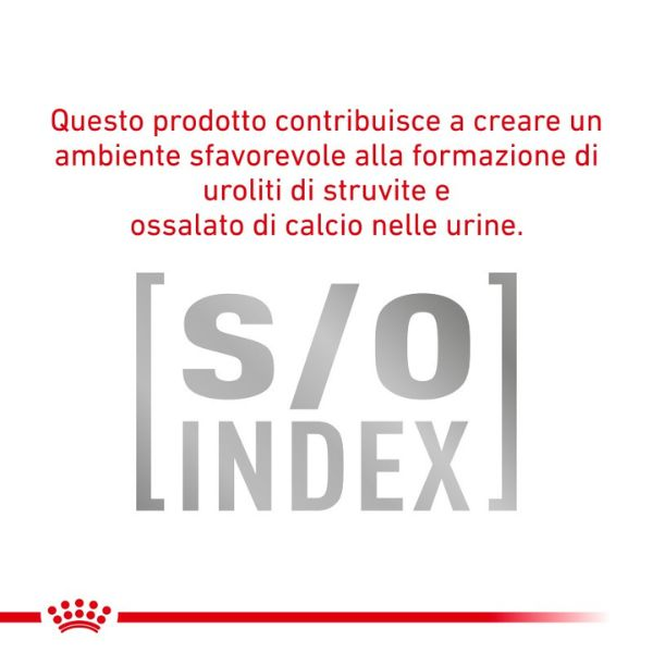 royal canin veterinary diet diabetic cat immagine5