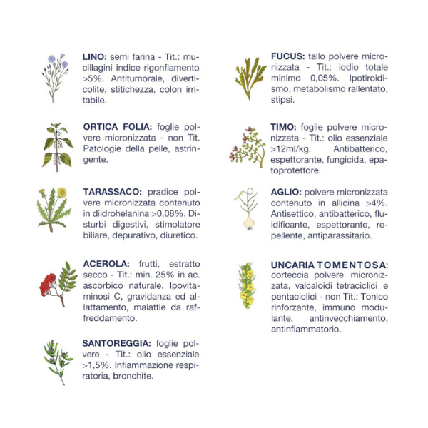 vet line secco monoproteico cane salute pesce immagine3