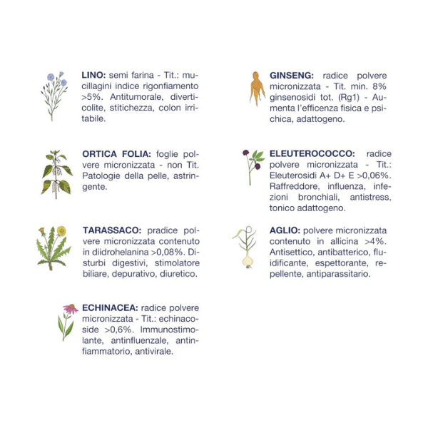 vet line secco monoproteico cane adult maiale immagine3