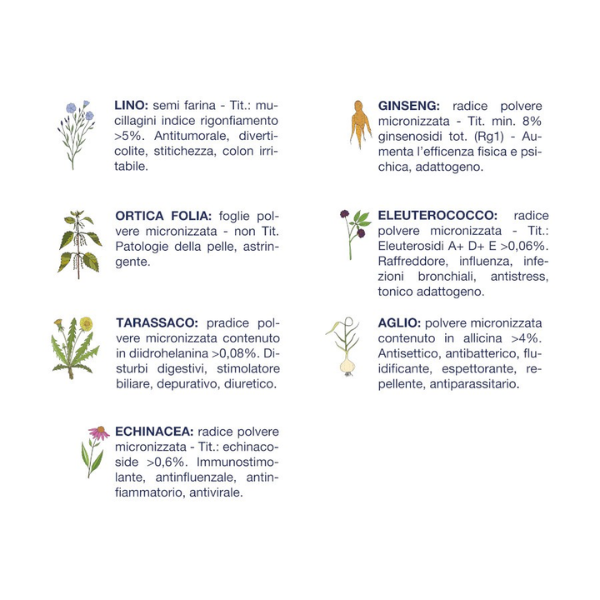 vet line secco cane adult less dry agnello immagine3