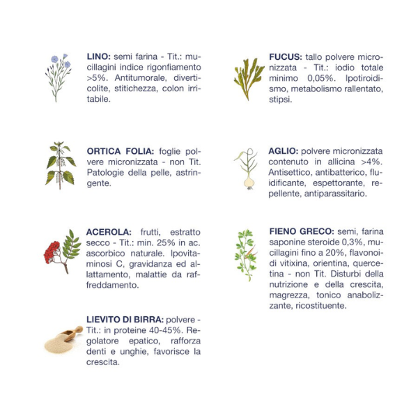 vet line umido cane junior accrescimento 150 gr immagine3