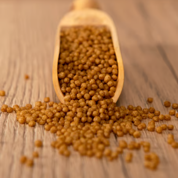 psittacus alimento mantenimento formula minor immagine4