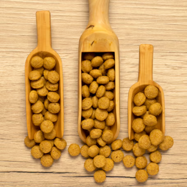 psittacus mantenimento alta energia immagine4