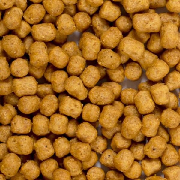 psittacus mangime estruso multi-specie immagine3