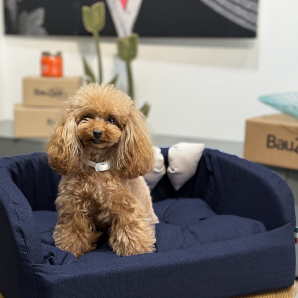 Cuccia per cani da interno Solid Blu Fabotex - Blu - misura 55