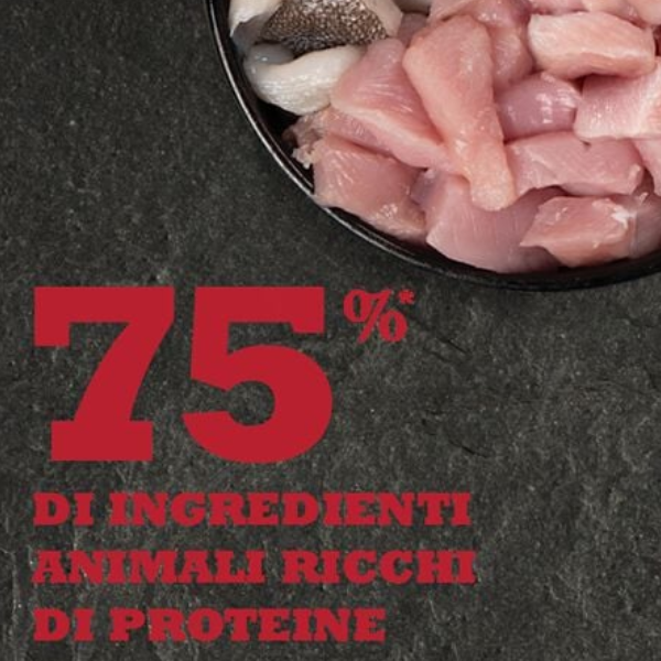 acana adult sport e agility grain free pollo immagine4