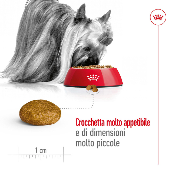 royal canin x-small adult immagine6