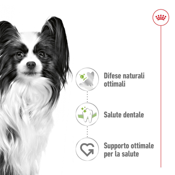 royal canin x-small adult immagine5