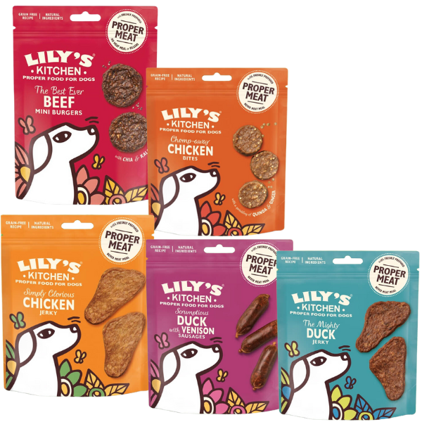 lily's kitchen snack treats 70 gr immagine2