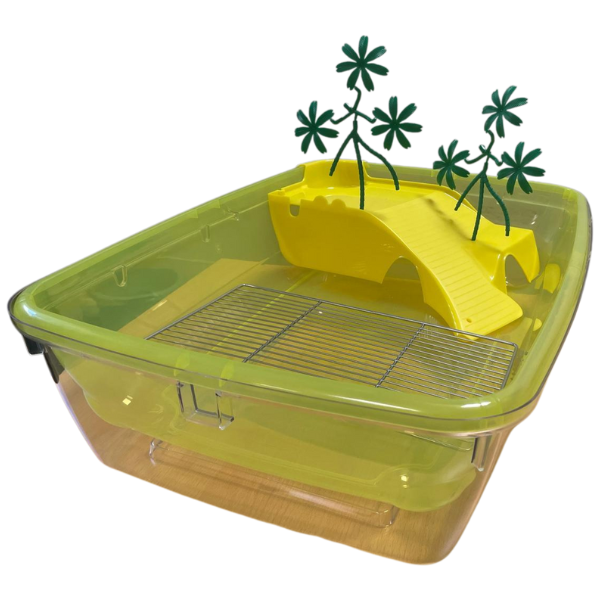 tartarughiera elba petup immagine2