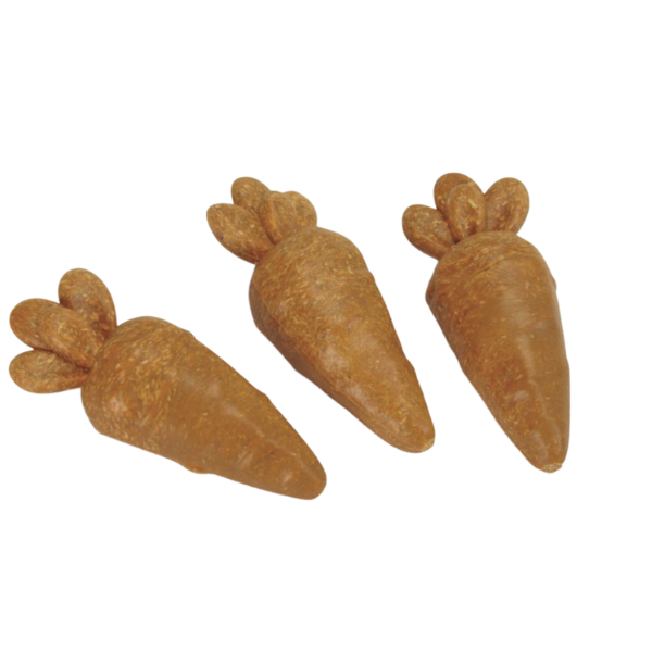 Dental Vegetal Carota Snack per roditori Camon