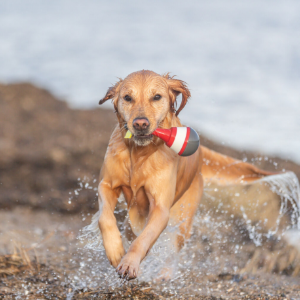 acqua toy boa con corda e snack trixie immagine4