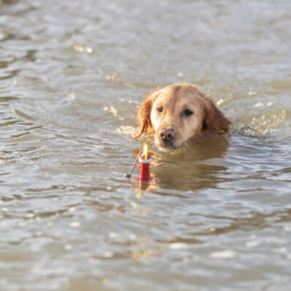 acqua toy boa con corda e snack trixie immagine5