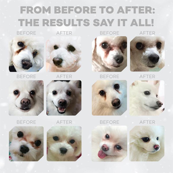 nature’s protection superior care adult small e mini white dogs grain free al pesce bianco immagine3