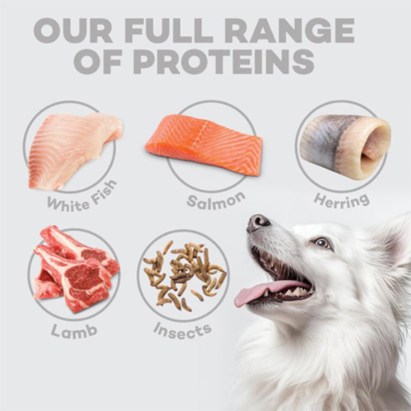 nature’s protection superior care adult small e mini white dogs grain free salmone immagine5