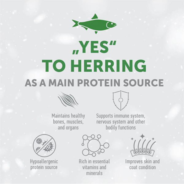 nature’s protection superior care adult small e mini white dogs grain free aringa immagine8