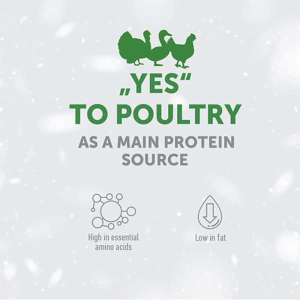 nature’s protection superior care dog adult all breeds dark coat grain free pollo immagine4