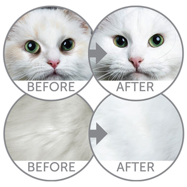 nature’s protection superior care cat white cats grain free con pesce azzurro immagine3