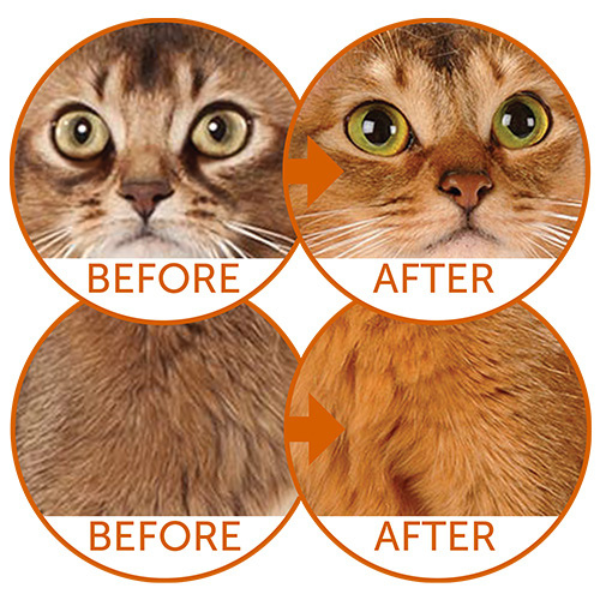 nature’s protection superior care cat red cats grain free con pesce azzurro immagine3