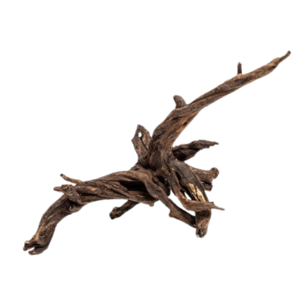 Acquadeco Legno decorativo per acquari e terrari - black slim wood s