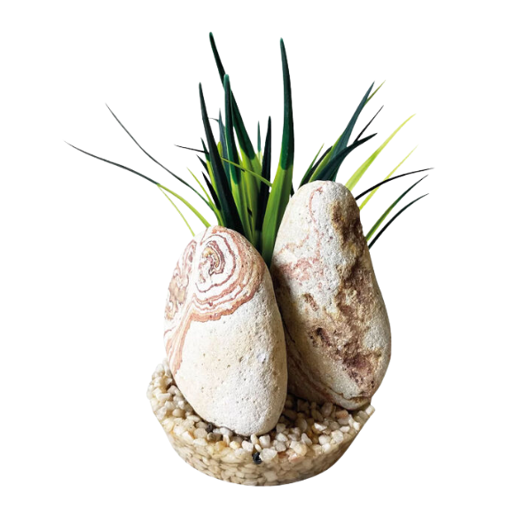 Blu Bios Pietra decorativa con pianta per acquari - rainbow stone