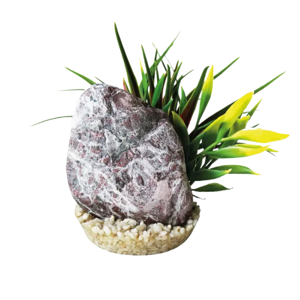 Blu Bios Pietra decorativa con pianta per acquari - zebra stone