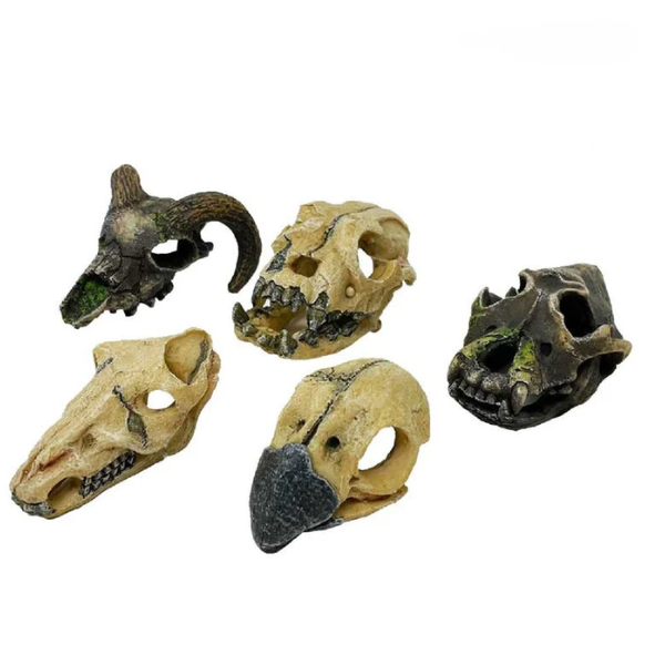 Blu Bios Mini decorazioni per acquari - teschio animale mini