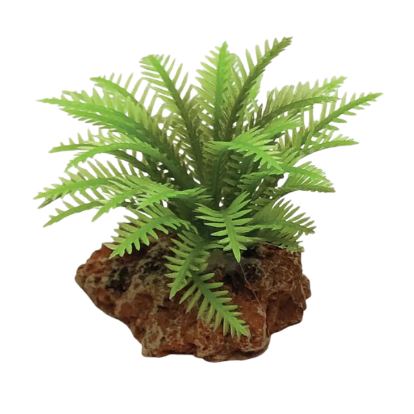 Blu Bios Dekor pianta decorativa per acquari - felce verde