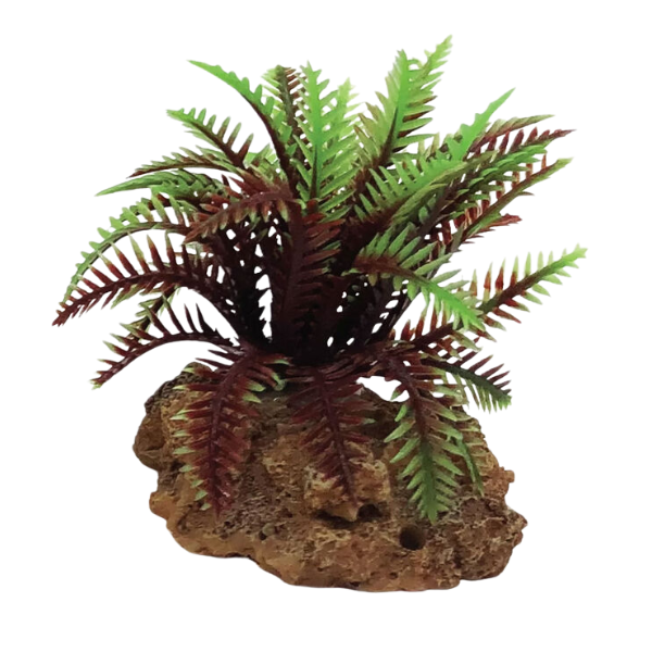 Blu Bios Dekor pianta decorativa per acquari - felce rossa