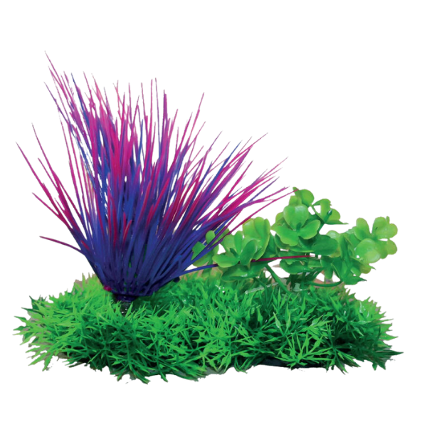 Blu Bios Dekor pianta decorativa per acquari - aquatic