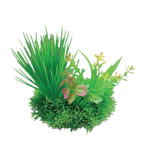 Blu Bios Dekor pianta decorativa per acquari - bouquet mini