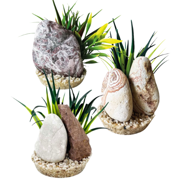 blu bios pietra decorativa con pianta per acquari immagine2