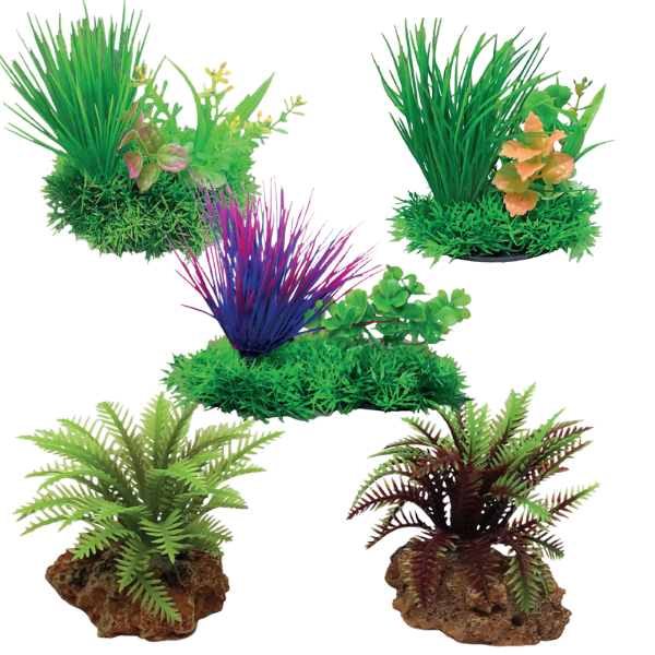 blu bios dekor pianta decorativa per acquari immagine2