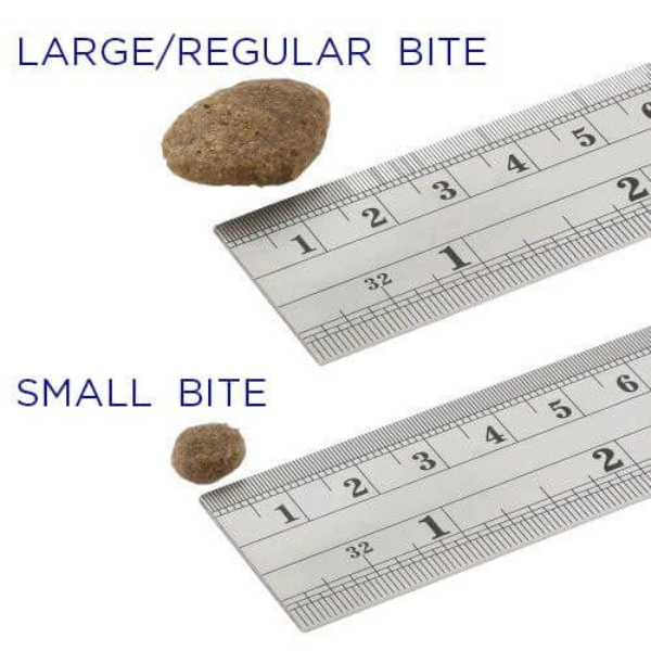 fish4dogs superior senior complete small al salmone immagine3