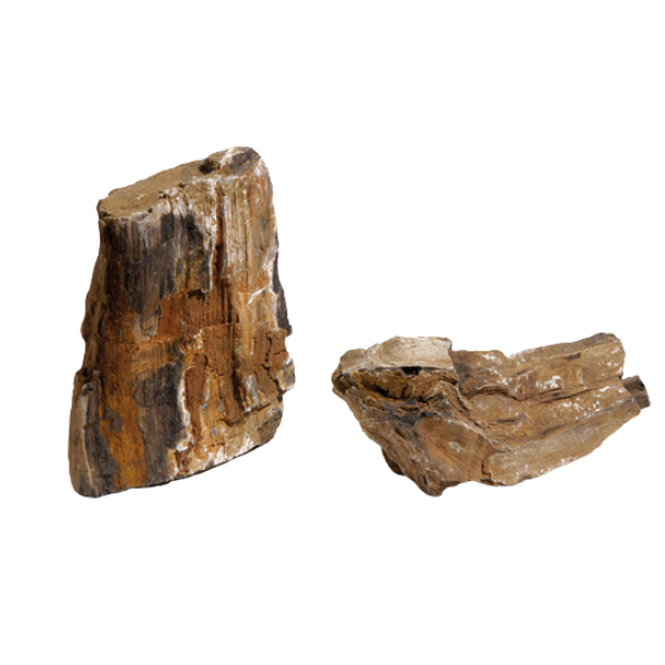 Acquadeco Legno decorativo per acquari e terrari - fossilized wood s