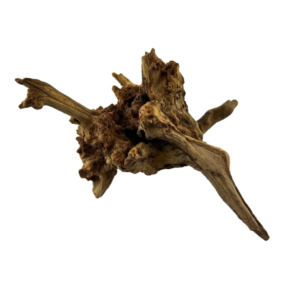 Acquadeco Legno decorativo per acquari e terrari - black slim wood l