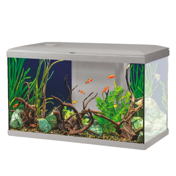 Aqualovers Acquario Ocean 60