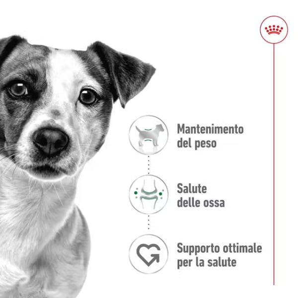 royal canin patè per cani mini adult 195 gr immagine6