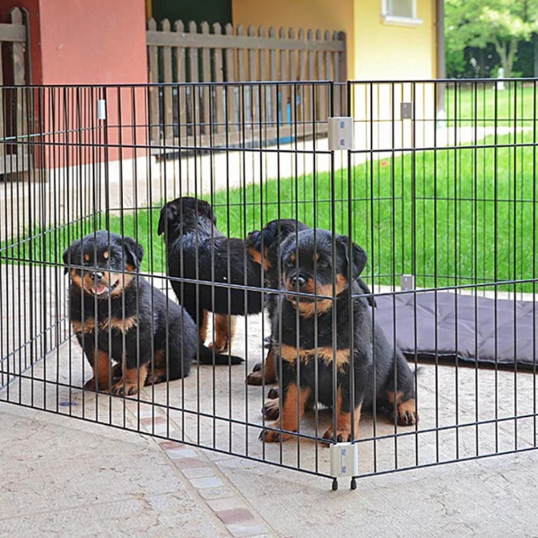 recinto per cuccioli dog training ferplast immagine4