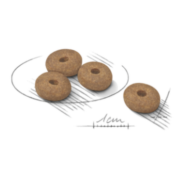 royal canin mini light weight care adult dog immagine3