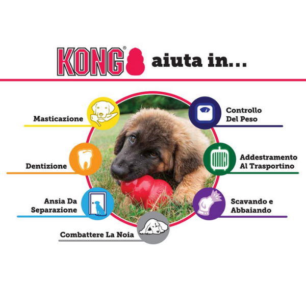 kong extreme immagine4