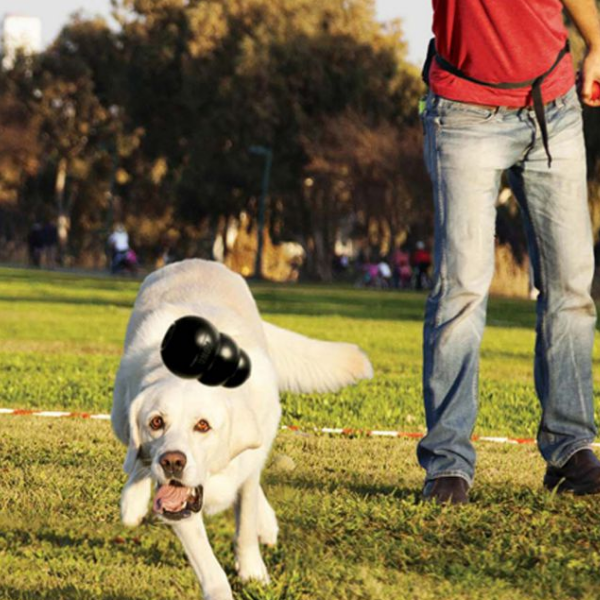 kong extreme immagine6