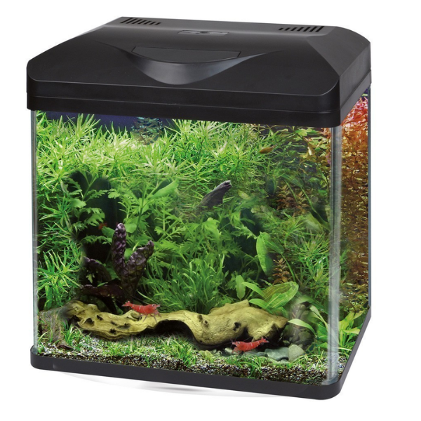 Acquario d'acqua dolce Laguna Led Amtra - 30